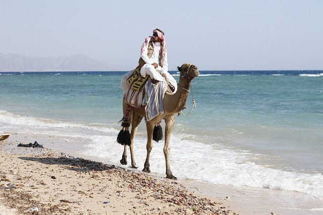 איך לצלוח את מעבר הגבול לסיני במינימום זמן ועצבים